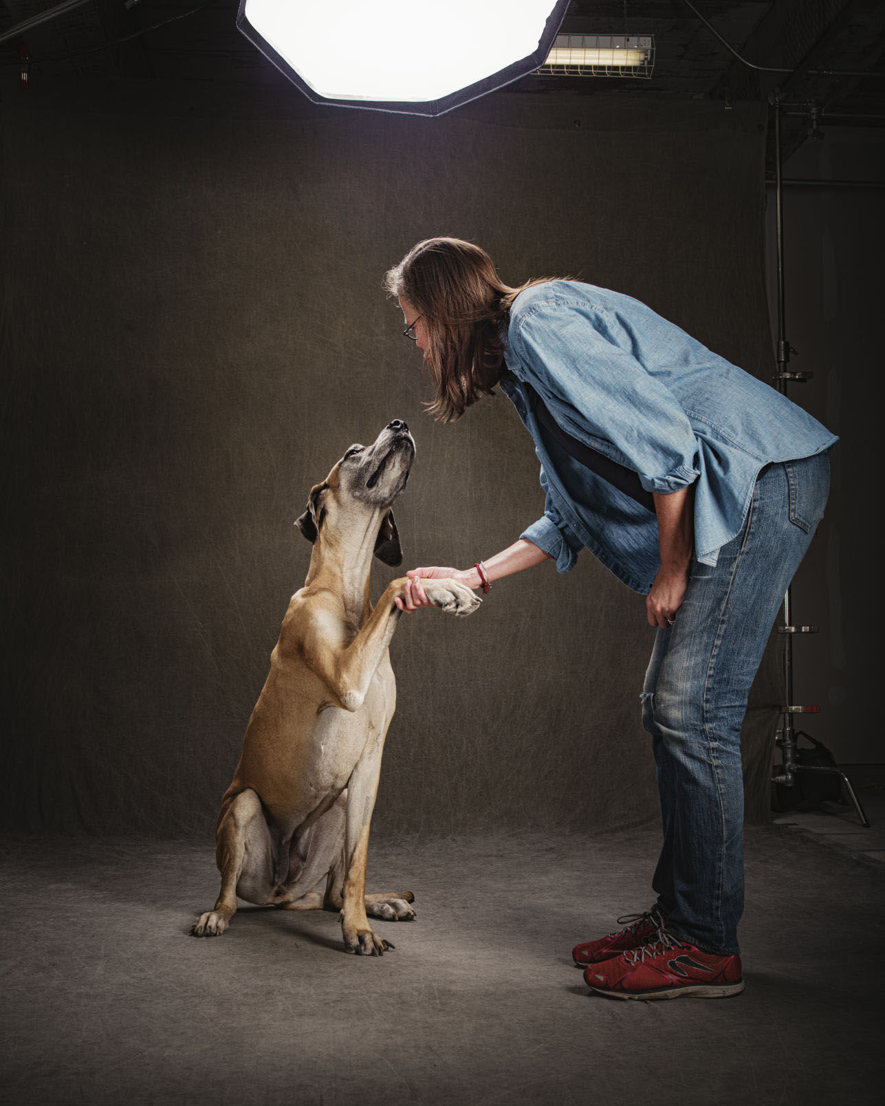 Vincent J Musi The Year of the Dogs.JPG
